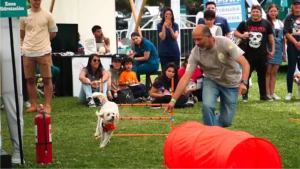 parque-pet-5