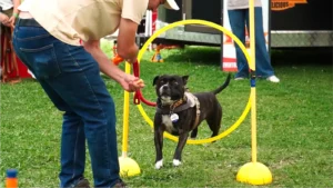 parque-pet-6