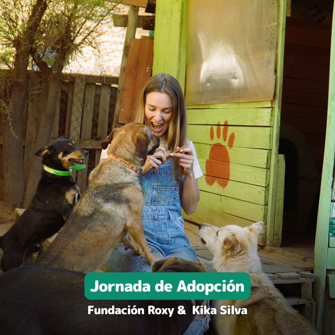 jornada-de-adopcion