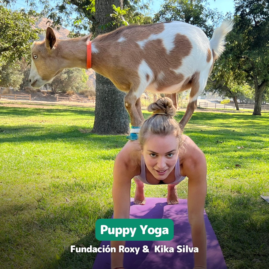 puppy-yoga