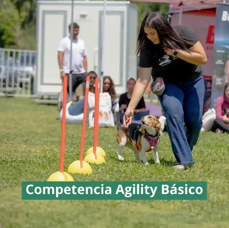 competencia-parquepet