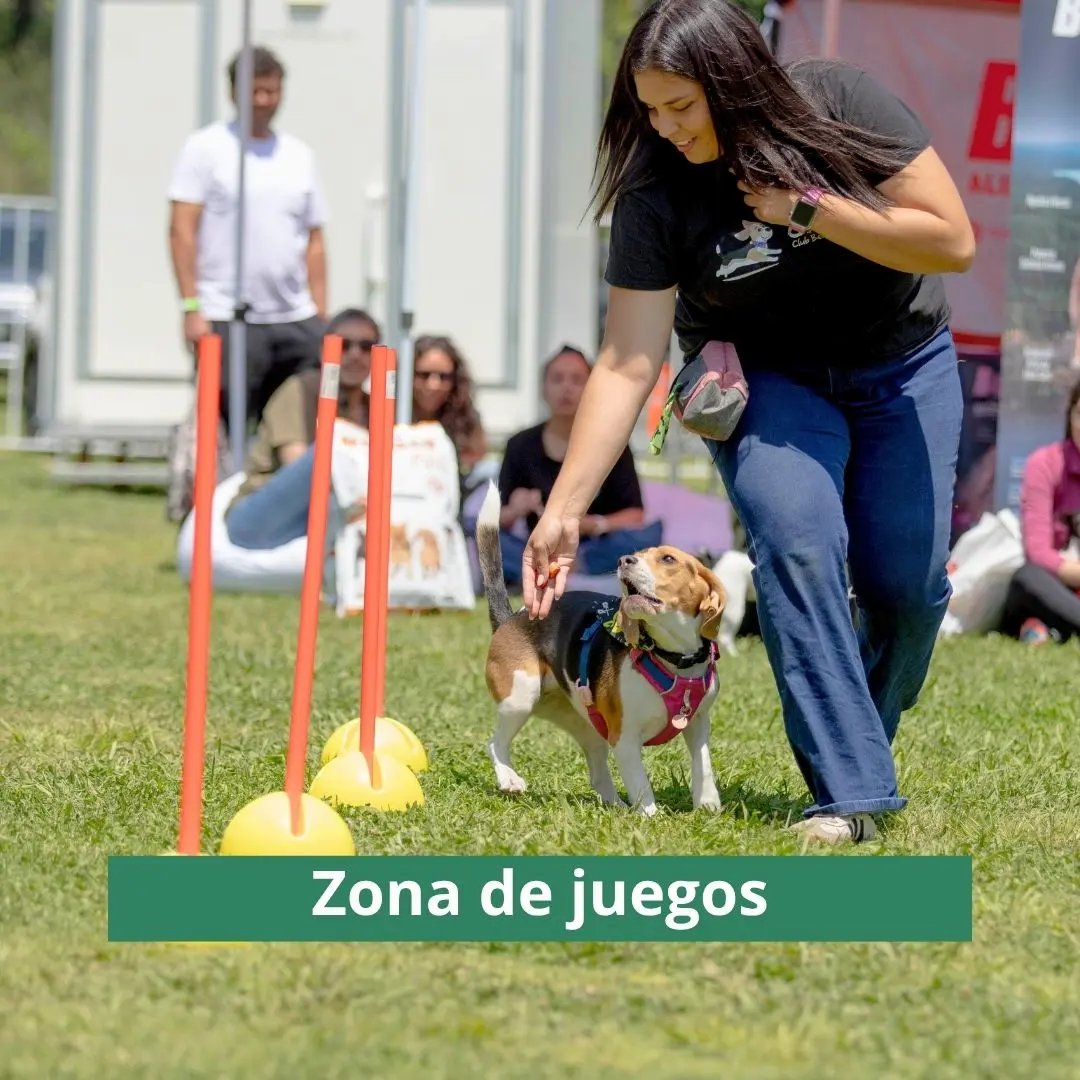 Zona de juegos