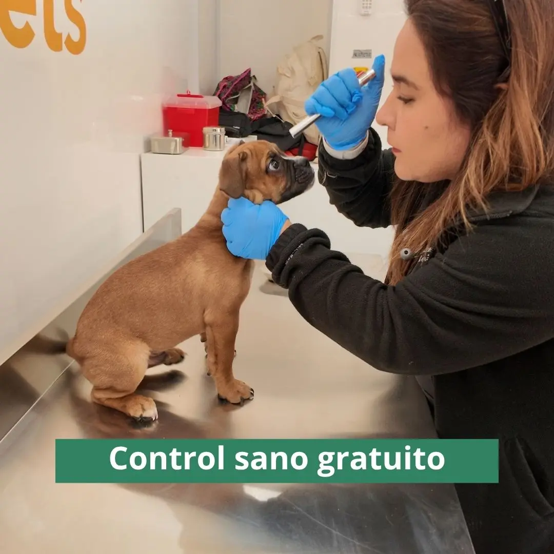 control sano gratuito