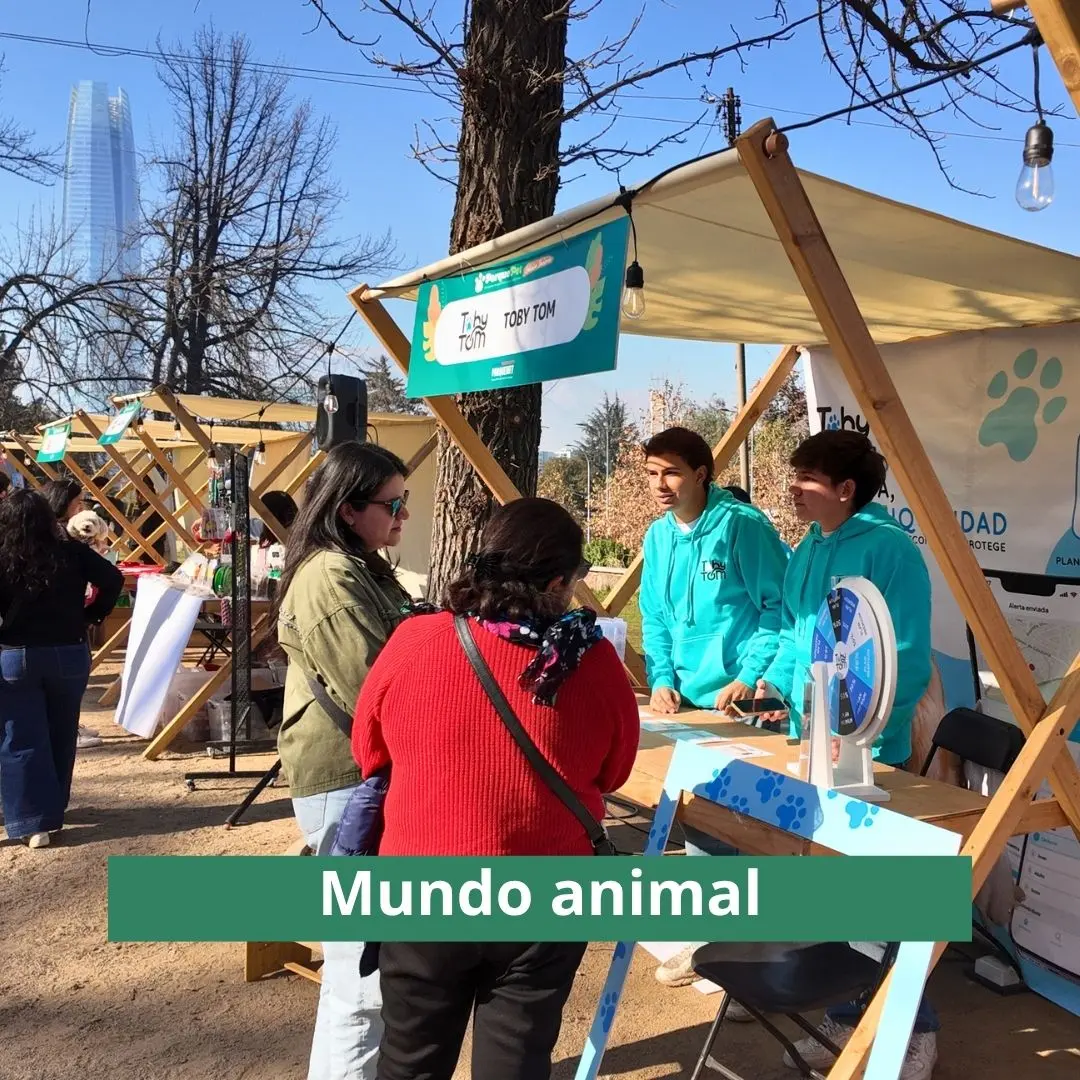mundo animal
