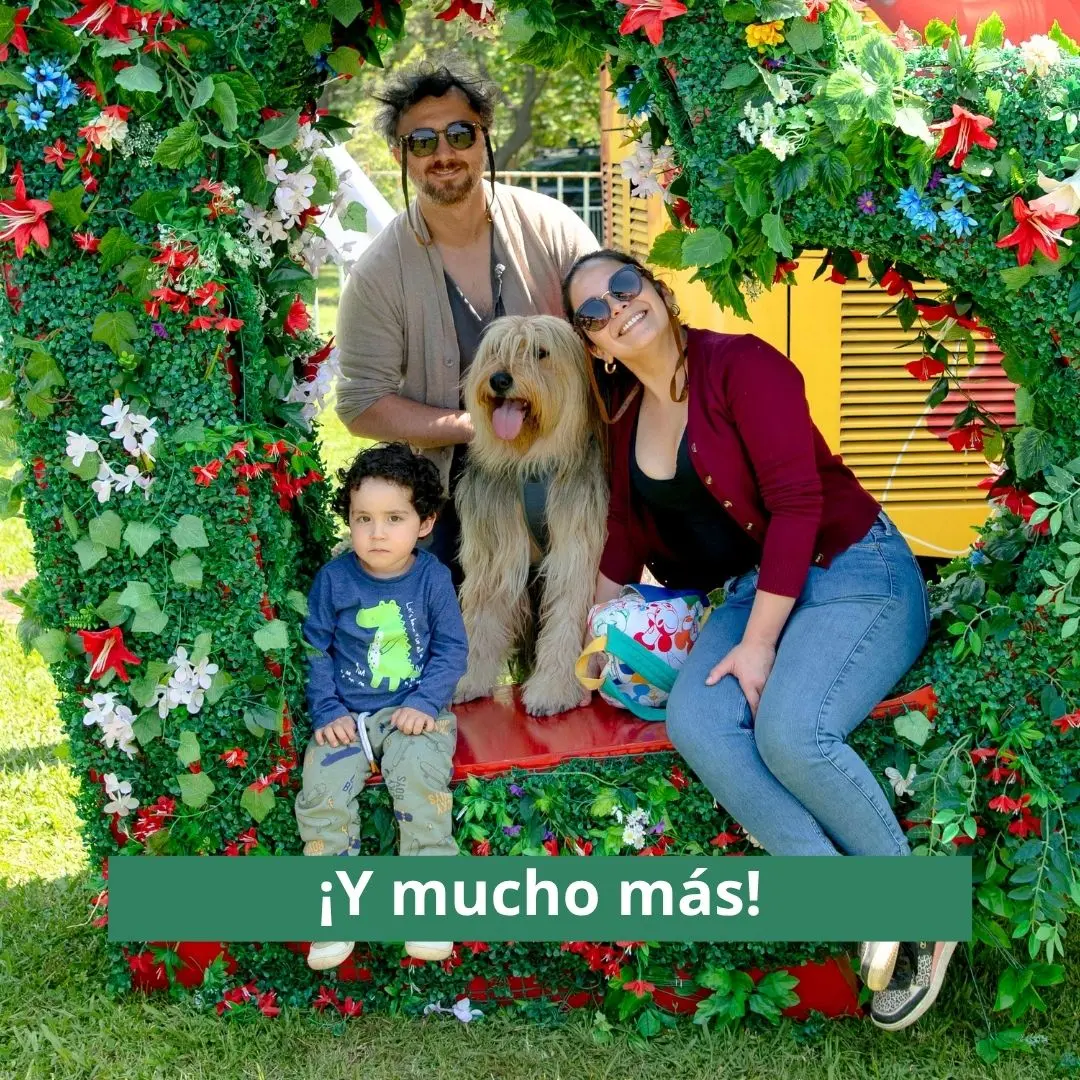 y mucho más